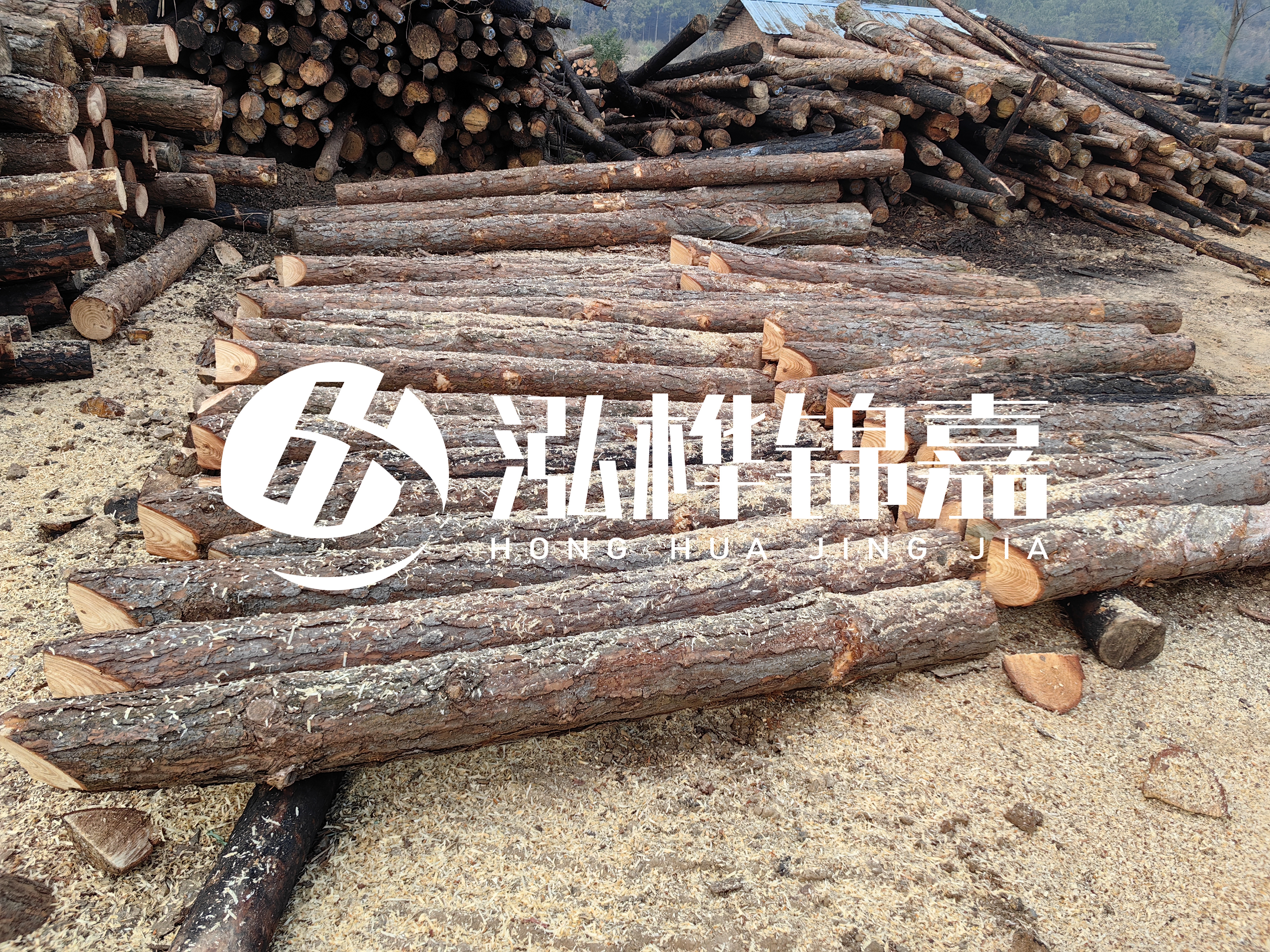 河道打樁木重復(fù)利用嗎？