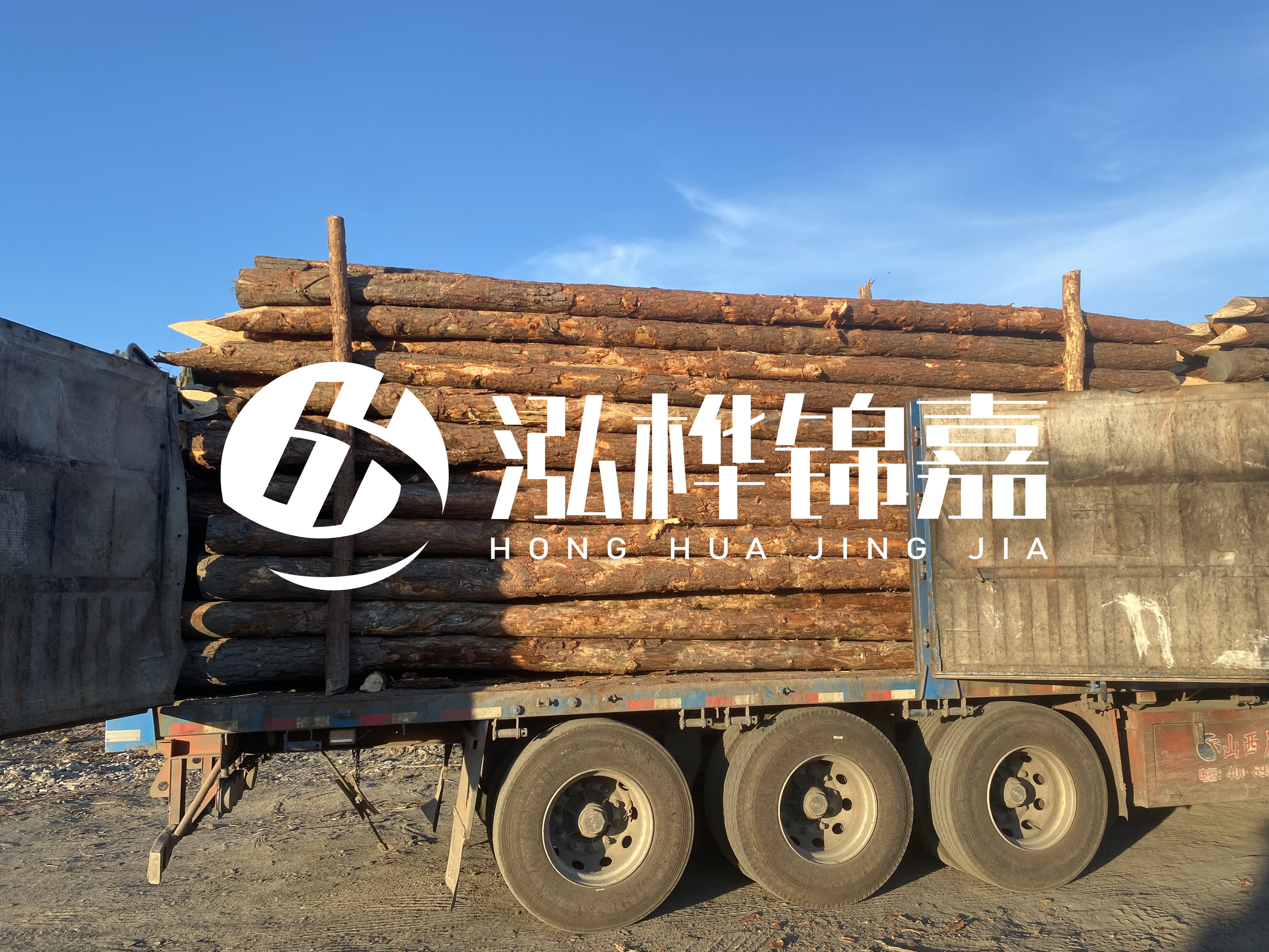 河道治理為什么要用松木樁？