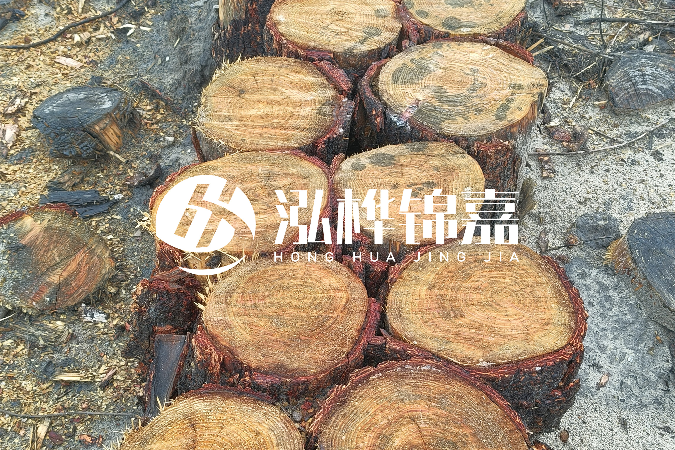 浙江臺州有清淤的公司嗎？浙江臺州有清淤施工隊嗎？