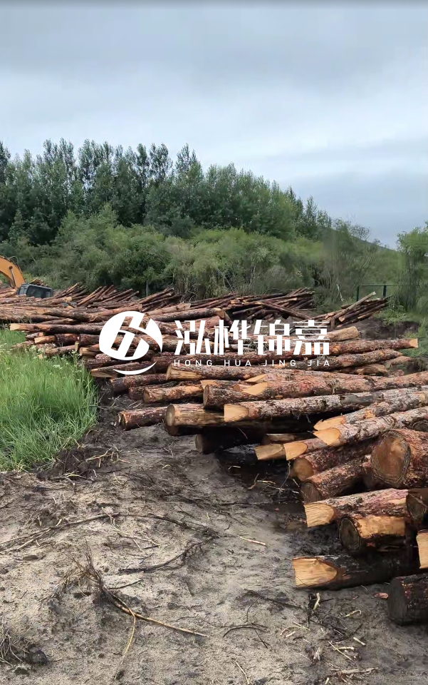 甘肅河道清淤工程公司-為什么要進行河道清淤？