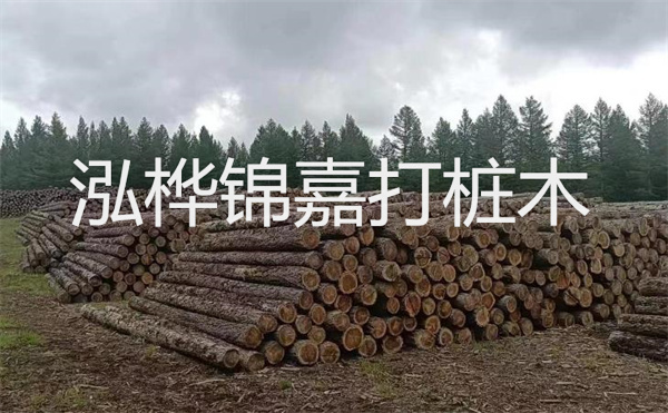 選擇紅磚護(hù)坡，打造獨(dú)特的美麗景觀