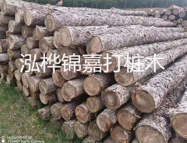 高效修補(bǔ)，保駕護(hù)航！水泥路面高強(qiáng)度修補(bǔ)料為您解決煩惱！