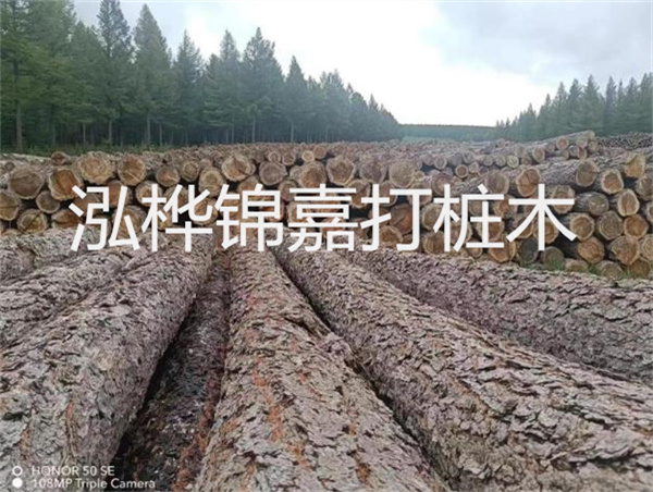 高效施工，圓松木樁助力建筑工程進(jìn)展順利