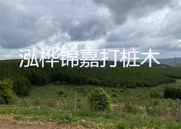 松木樁能重復(fù)施工么？