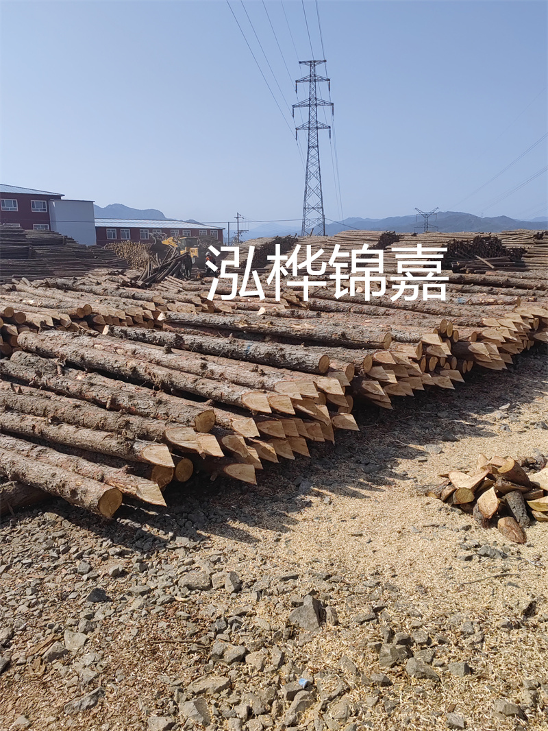 深入了解松木樁基礎(chǔ)施工單價(jià)，助力工程建設(shè)順利進(jìn)行！