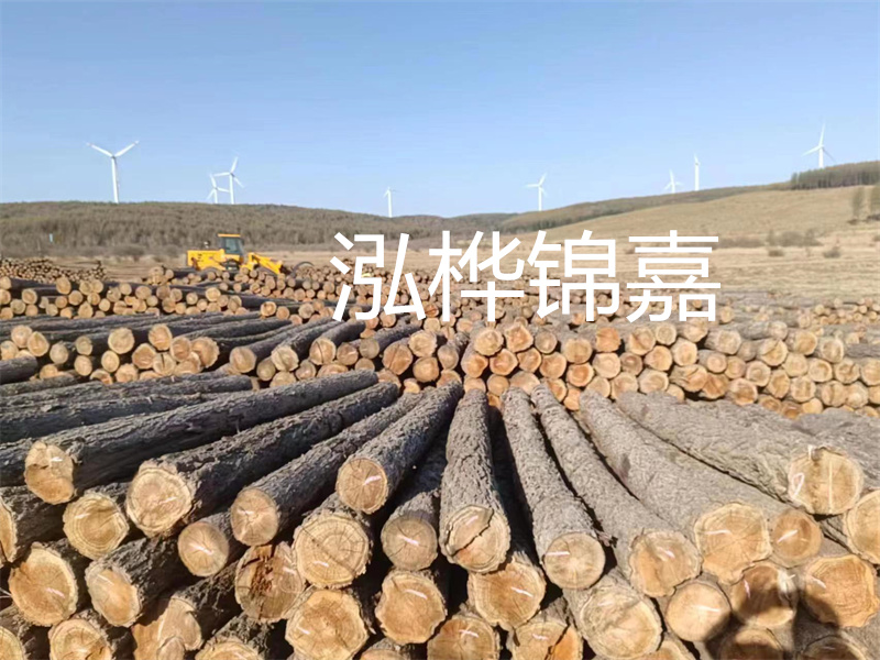 溫州松木樁施工廠家——為您打造堅固穩(wěn)定的建筑基礎(chǔ)！